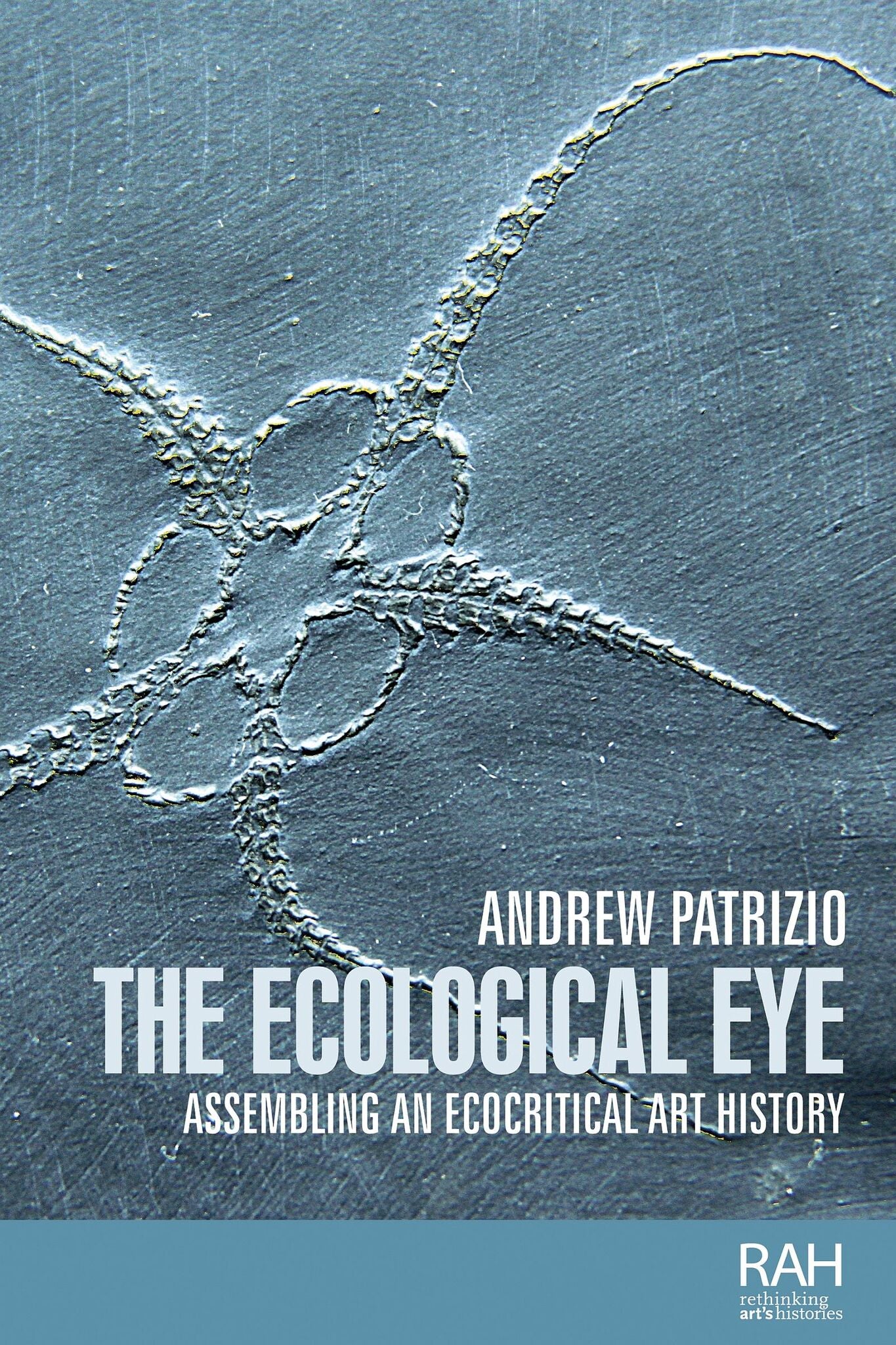 Cover image for The ecological eye ISBN 9781526121578